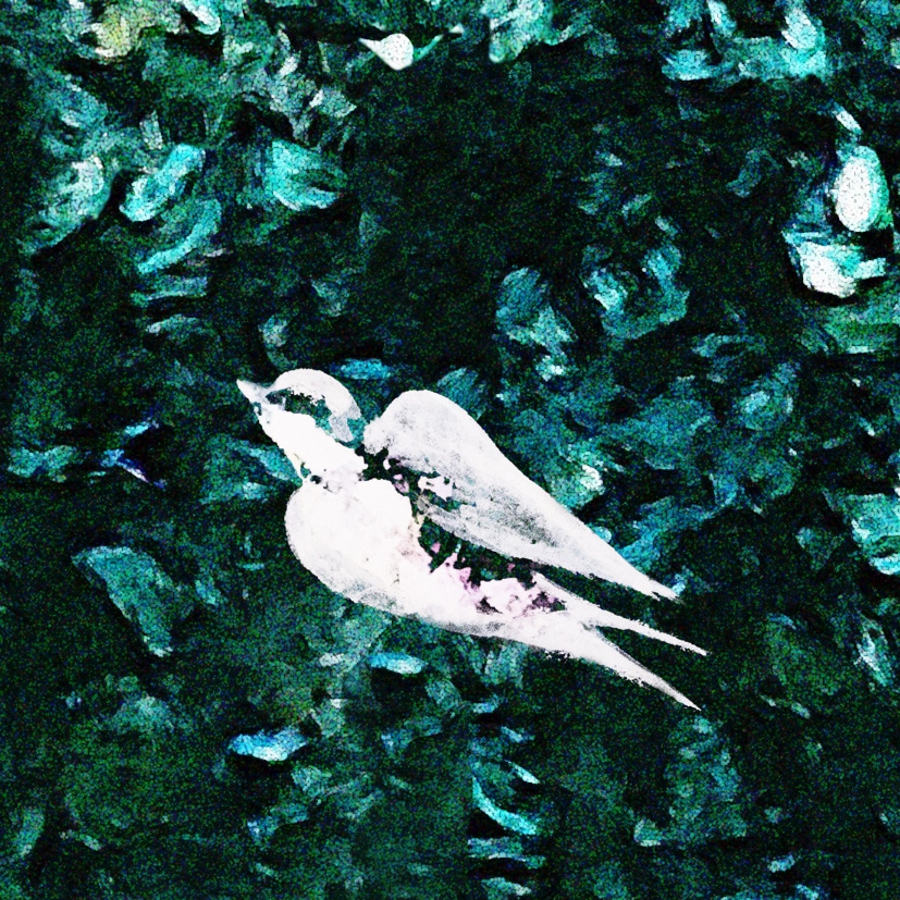 In the forest - Image 4